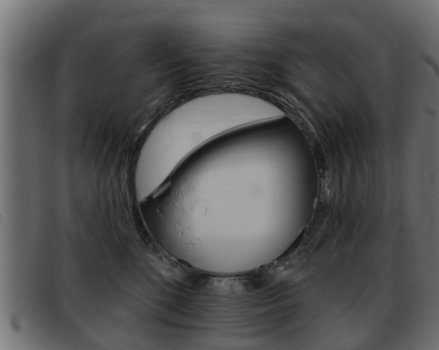 X0000093420520200710120859