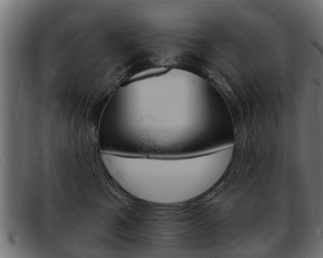 X0000093420521200710120859