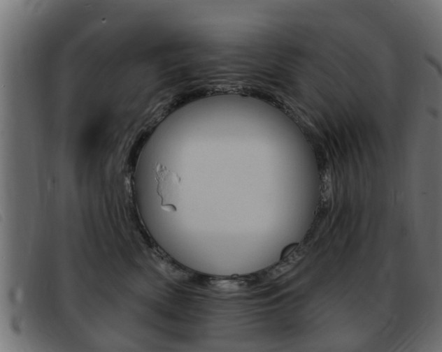 X0000093420522200710120859