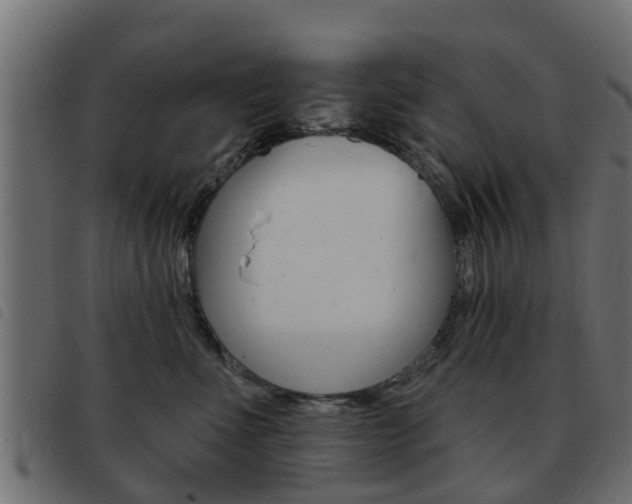 X0000093420523200710120859