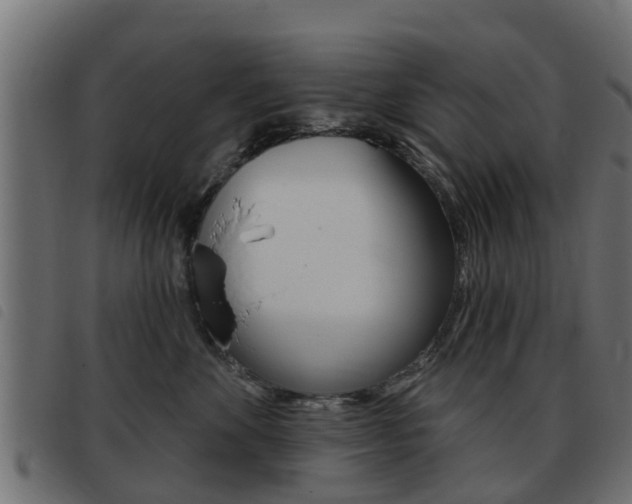X0000093420524200710120859