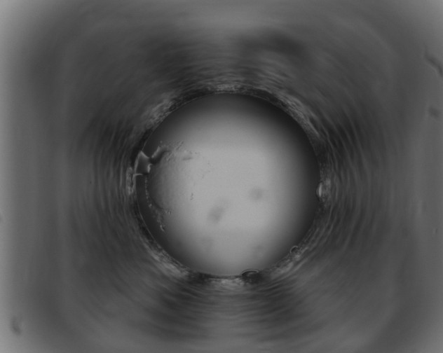 X0000093420525200710120859
