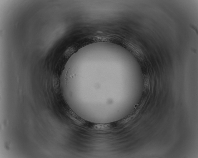 X0000093420526200710120859