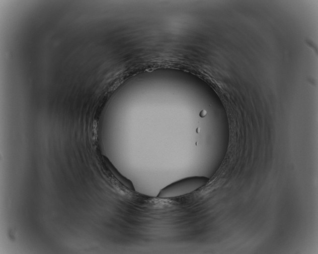 X0000093420528200710120859