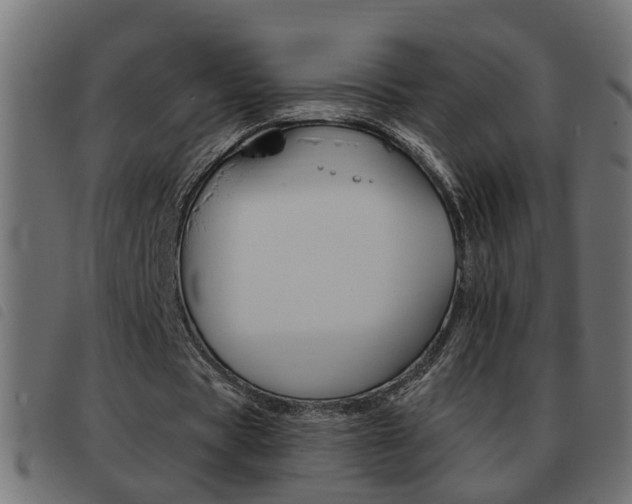 X0000093420529200710120858