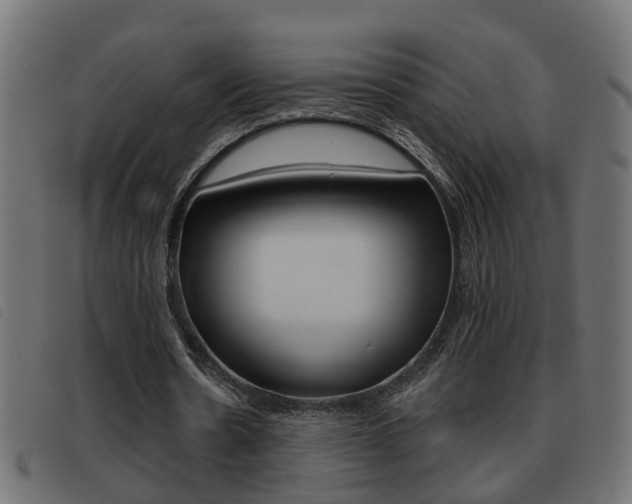 X0000093420530200710120858