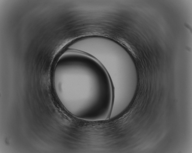 X0000093420532200710120858