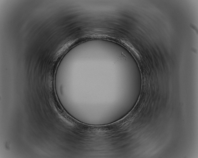 X0000093420533200710120858