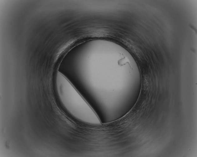X0000093420535200710120858