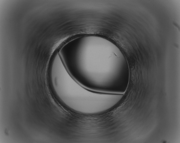 X0000093420536200710120859