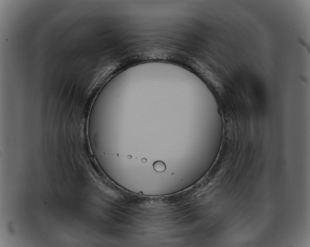 X0000093420537200710120859