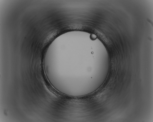 X0000093420538200710120859