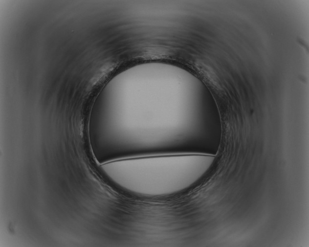 X0000093420539200710120859