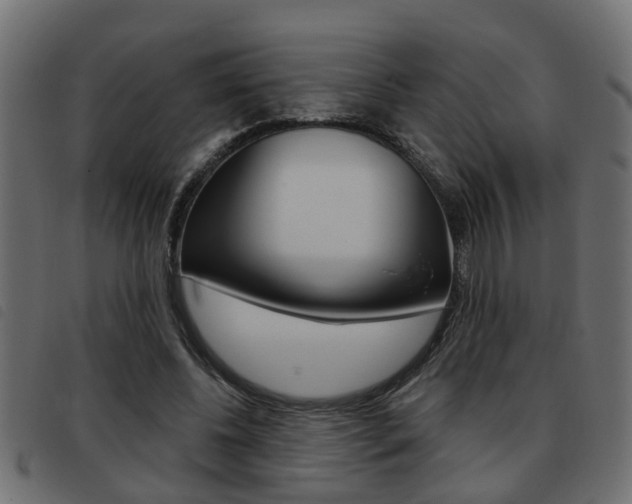 X0000093420540200710120859