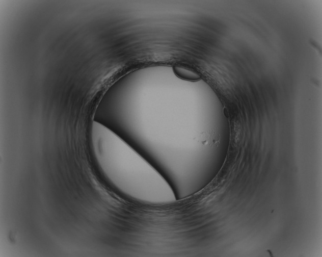 X0000093420542200710120859