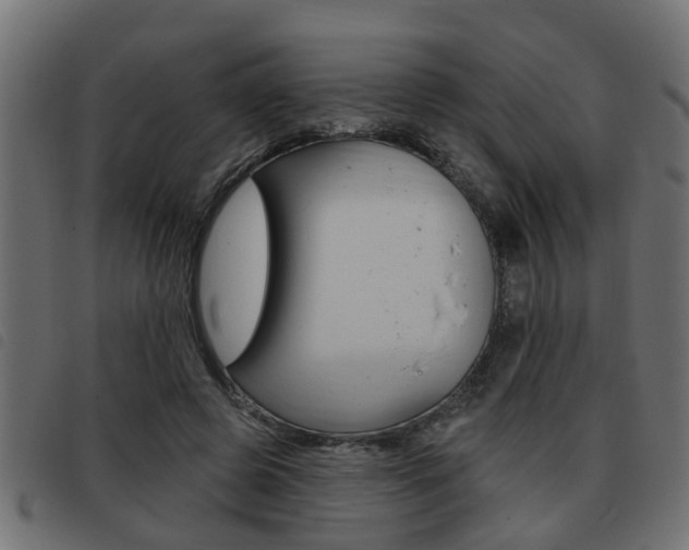 X0000093420545200710120859