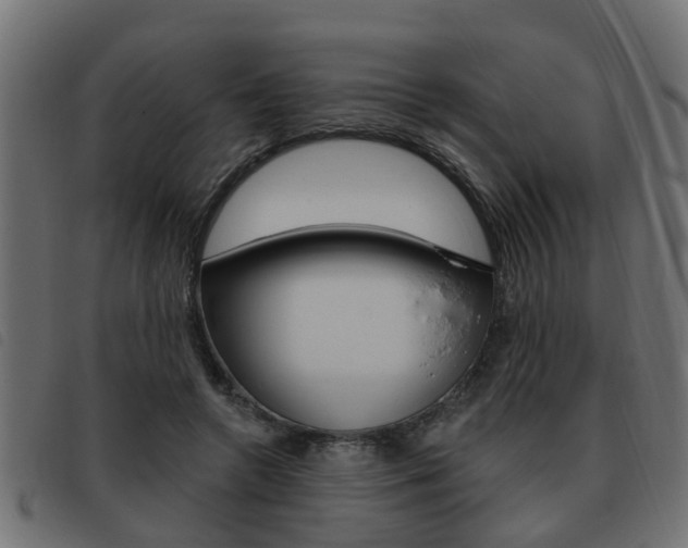 X0000093420546200710120859