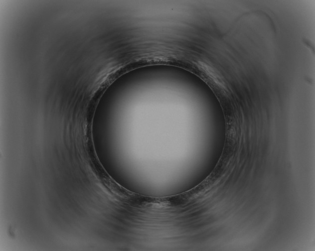 X0000093420548200710120859