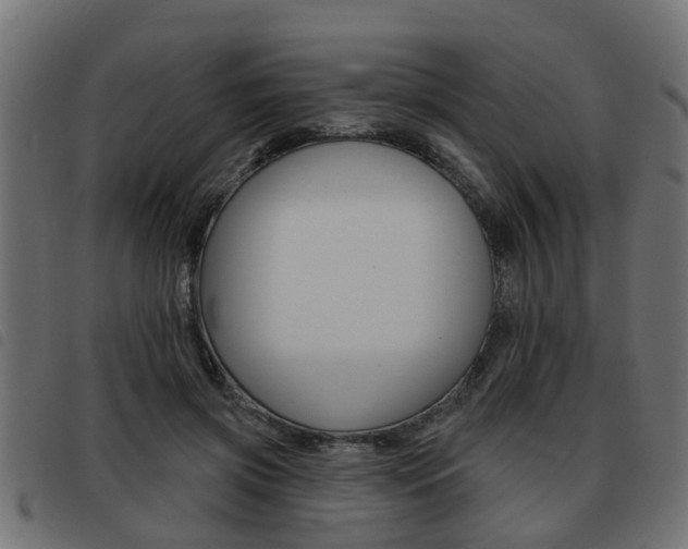 X0000093420549200710120859