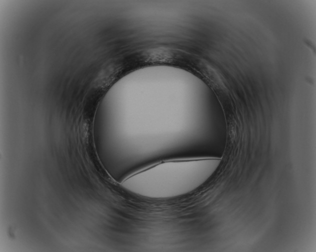 X0000093420551200710120859