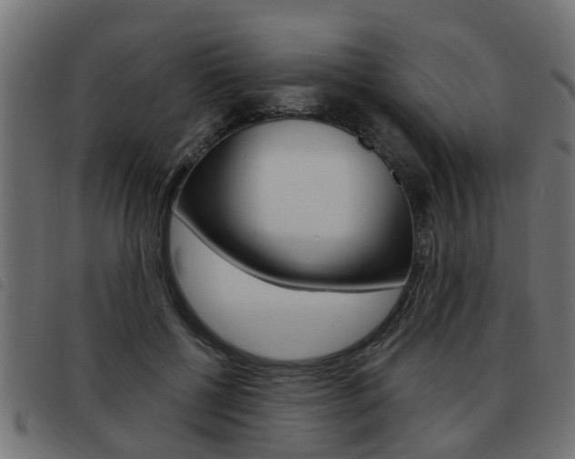 X0000093420552200710120859