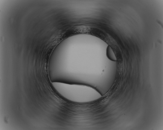 X0000093420553200710120859