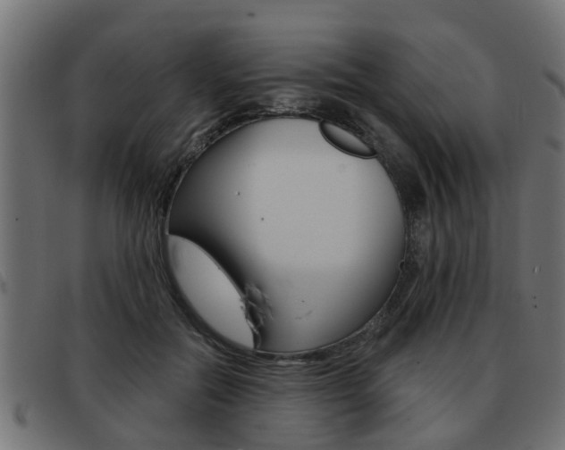 X0000093420554200710120859