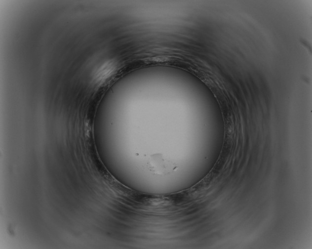 X0000093420555200710120859