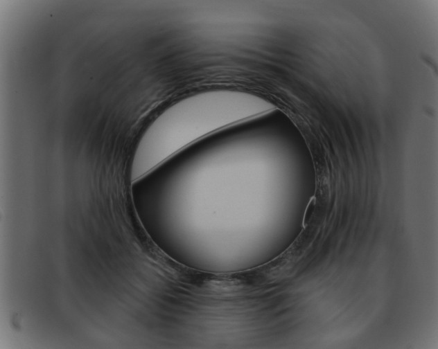 X0000093420556200710120859