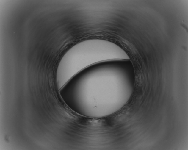 X0000093420558200710120859