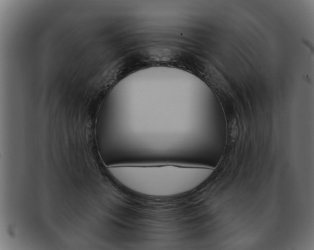 X0000093420559200710120859