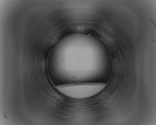X0000093420562200710120859