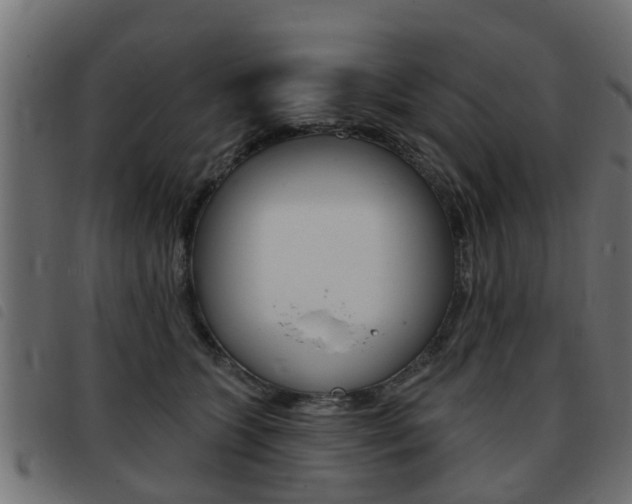 X0000093420563200710120859