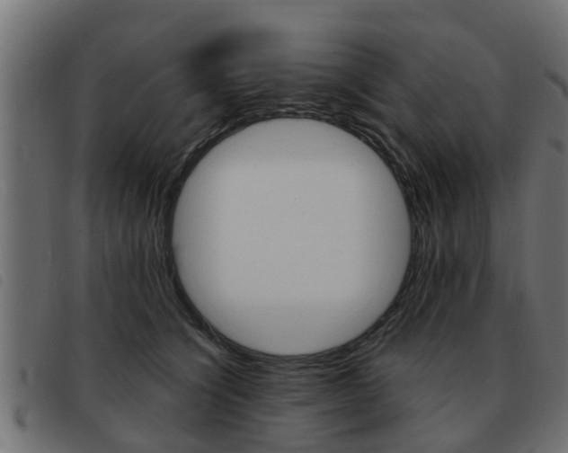 X0000093420564200710120859