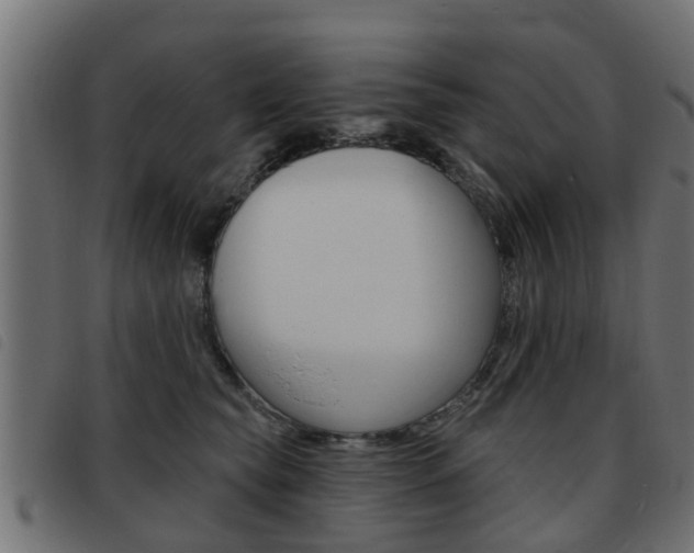 X0000093420565200710120859