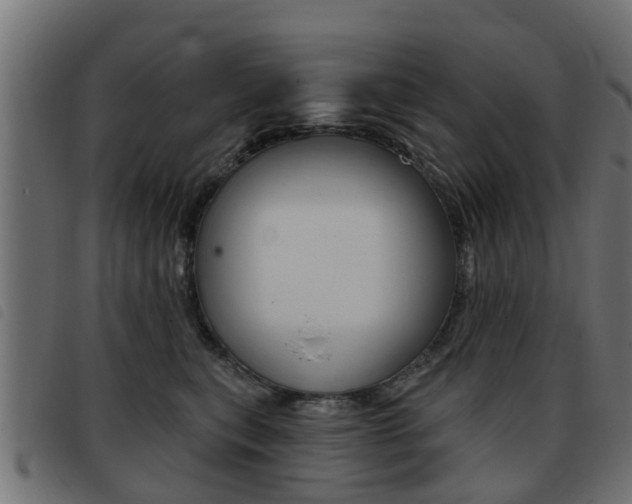 X0000093420567200710120859