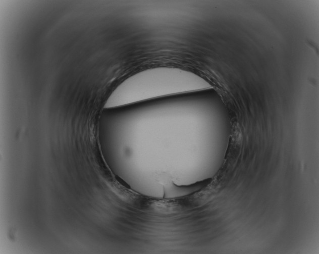 X0000093420568200710120859