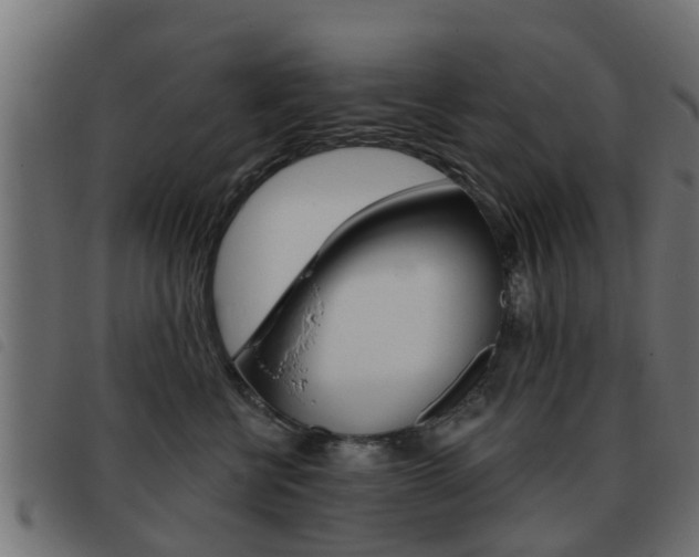 X0000093420570200710120859