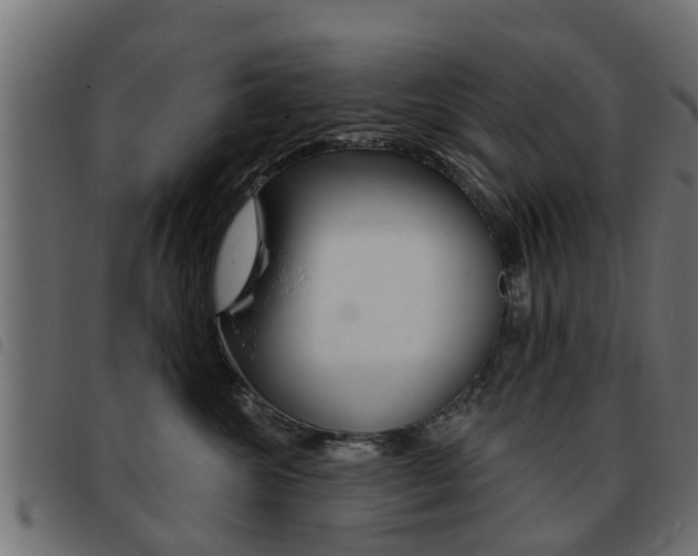 X0000093420572200710120859