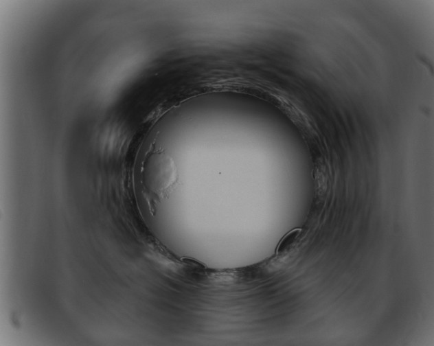 X0000093420574200710120859