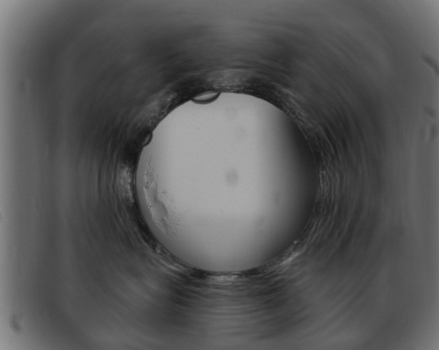 X0000093420575200710120859