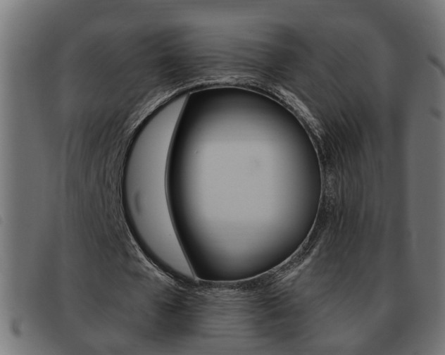 X0000093420577200710120858