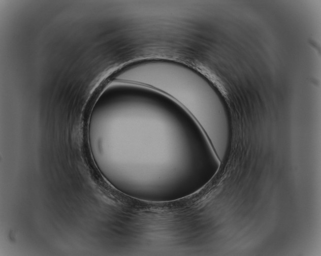 X0000093420580200710120858