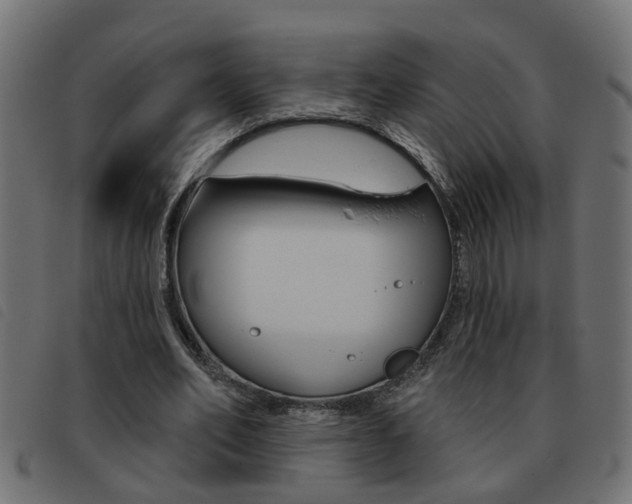X0000093420582200710120858