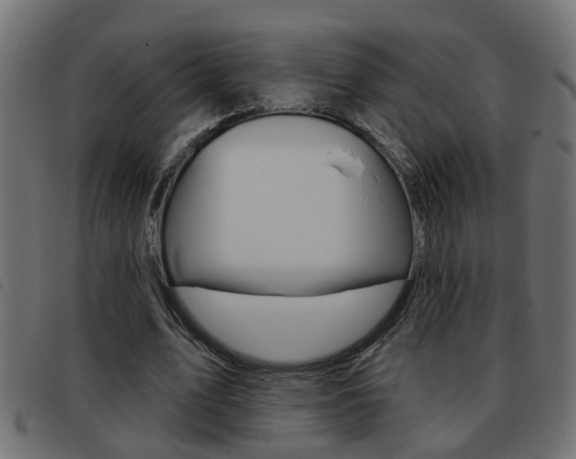 X0000093420583200710120858