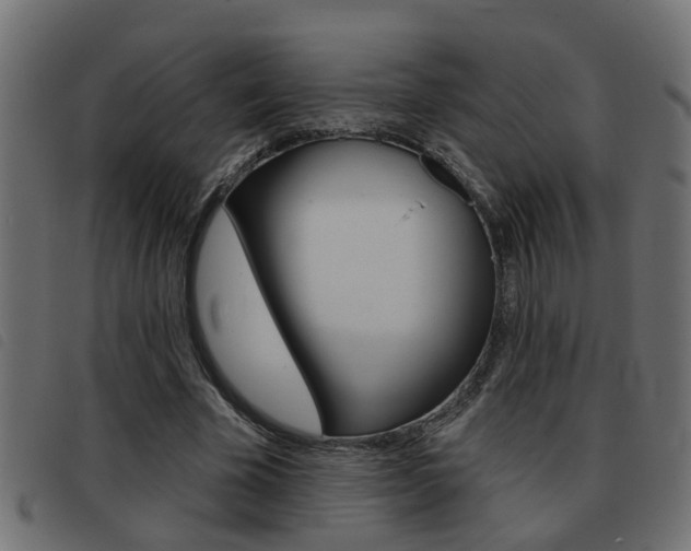 X0000093420585200710120858