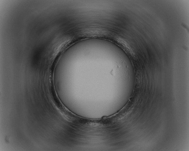 X0000093420590200710120858