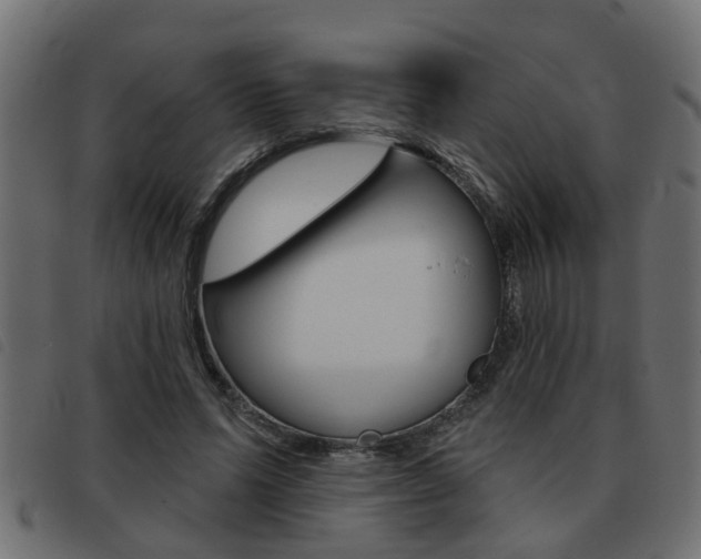 X0000093420591200710120858