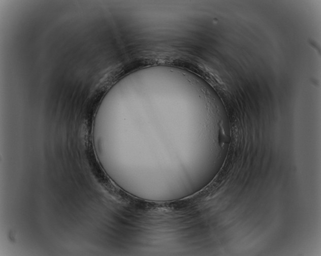 X0000093420594200710120858