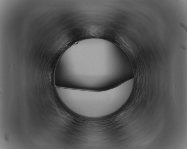 X0000093420595200710120858
